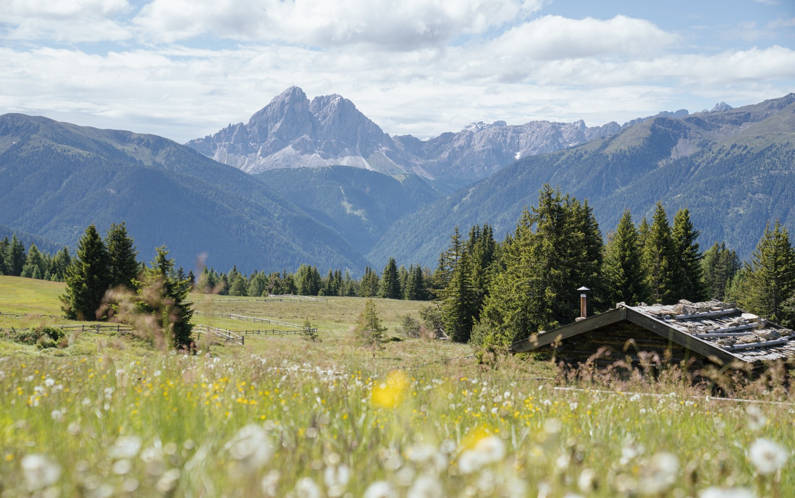 Gitschberg Jochtal Südtirol Sommerurlaub wandern natur dolomiten mountainbike (4)