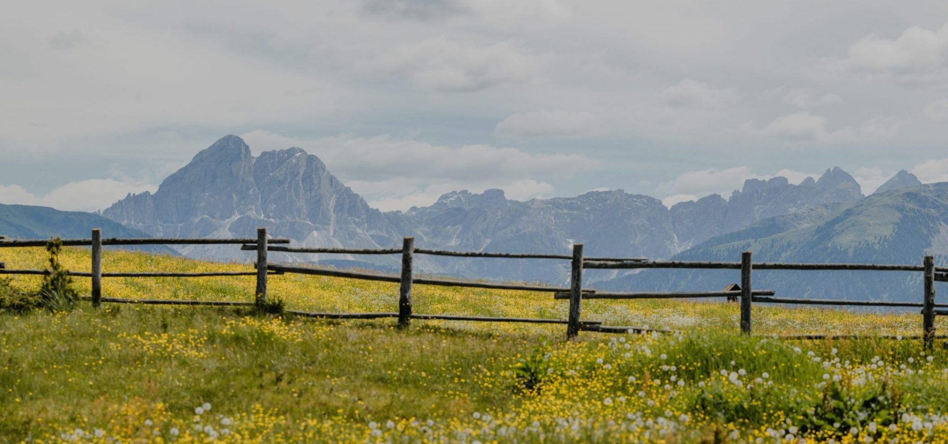 © Alpinfluence | Gitschberg Jochtal