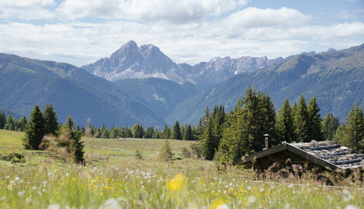 © Thomas Monsorno | Gitschberg Jochtal