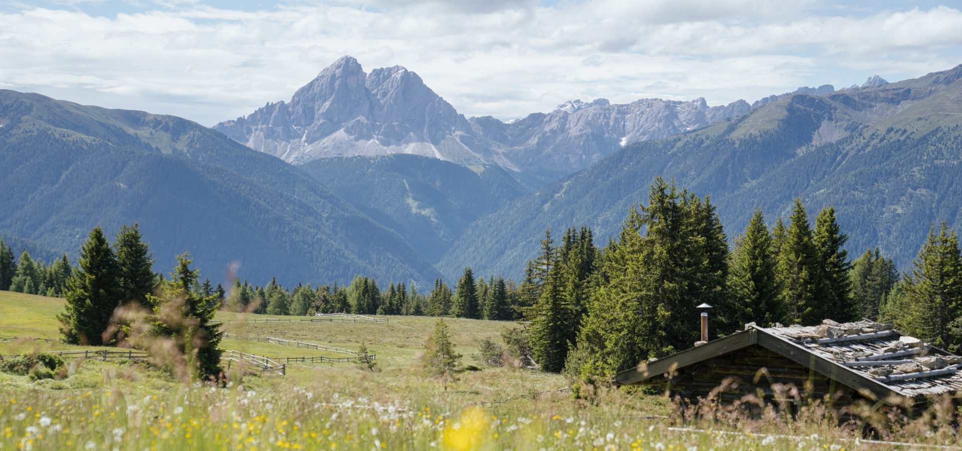 © Thomas Monsorno | Gitschberg Jochtal