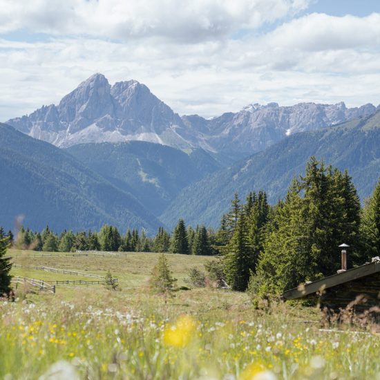 Primavera in Montagna