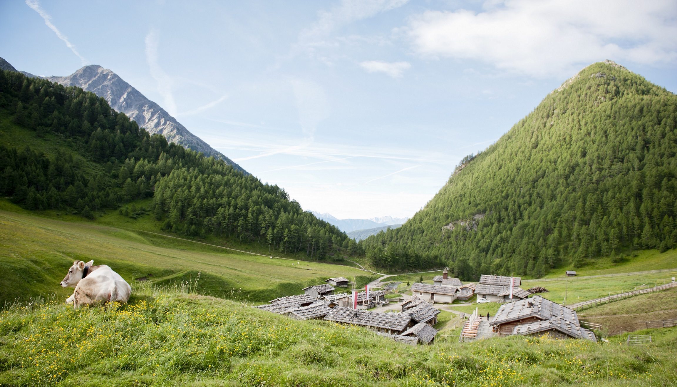 Gitschberg Jochtal Südtirol Sommerurlaub wandern natur dolomiten mountainbike (4)