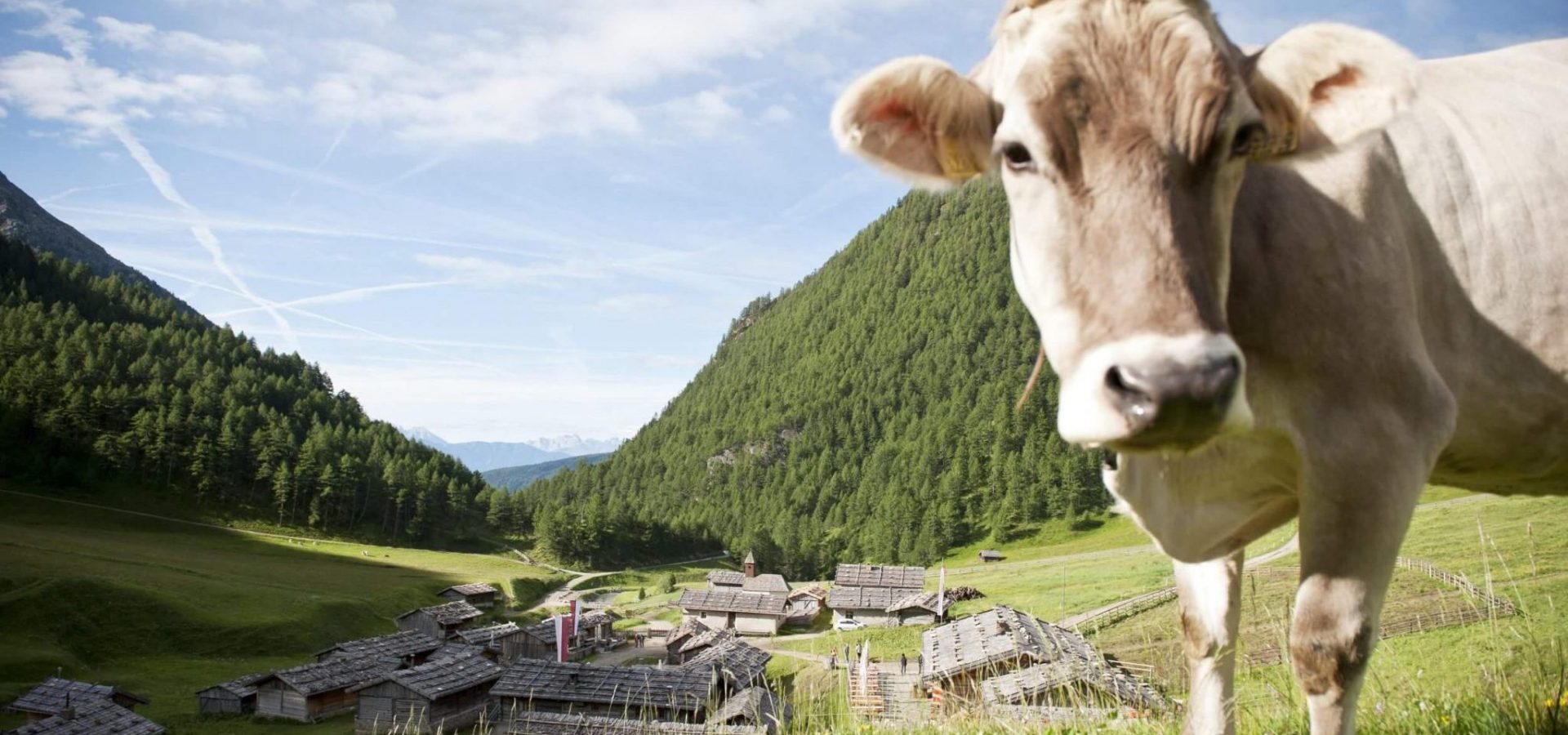Sommerurlaub Südtirol Meransen wandern klettern biken fahrradfahren (2)
