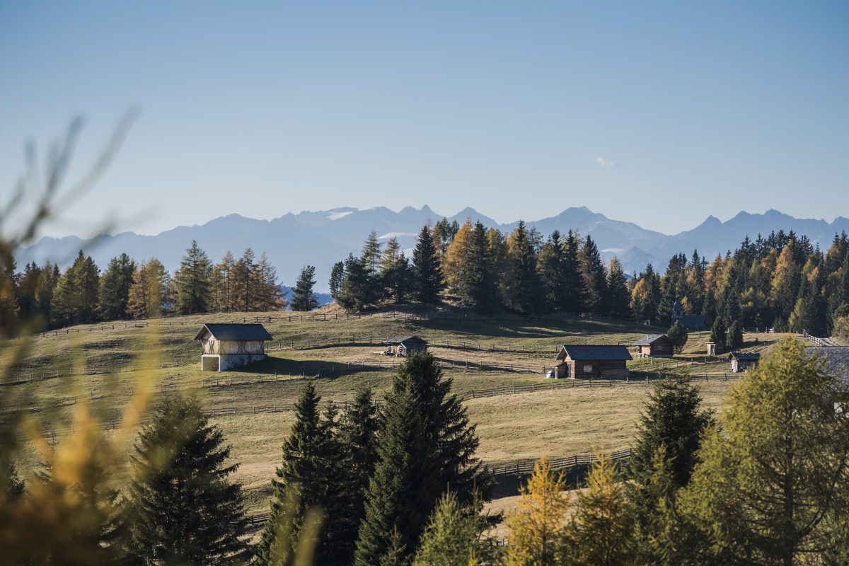 ©wisthaler.com 18 10 IDM Almwanderungen HA2 5637